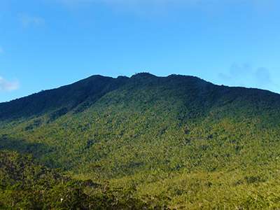 Mount Hamiguitan Range Wildlife Sanctuary