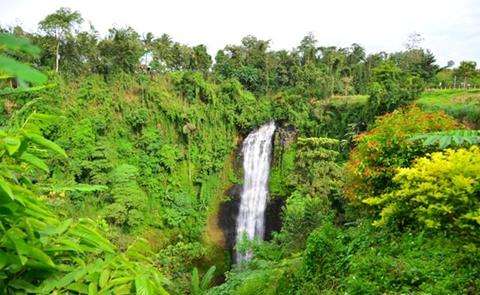 Alalum Falls - Tourist Spots in Bukidnon