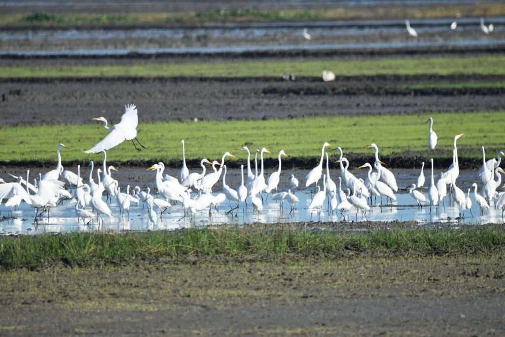 Pampanga Tourist Spot