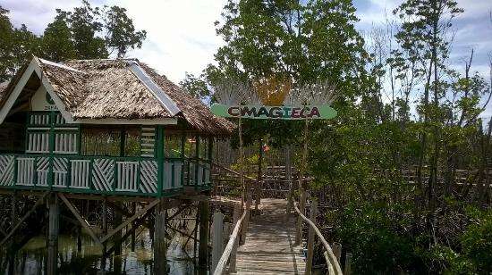 Omagieca Obo-ob Mangrove Garden - Bantayan Island