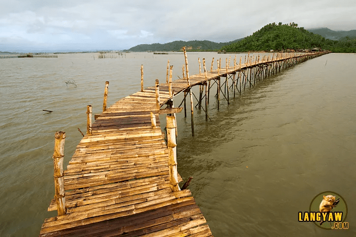 Pawa Mangrove Nature Park