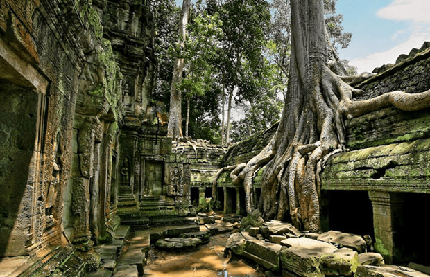 Ta Prohm Cambodia