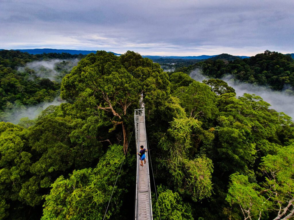 Ulu Temburong National Park