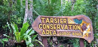 Bohol Tarsier Conservation Area - Bohol Tourist Spots