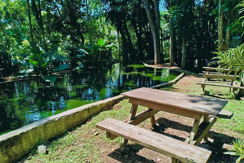 Mantianak Botanical Garden