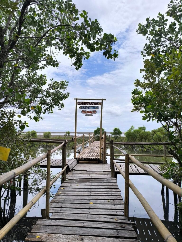 Bakhawan Eco Park - Aklan