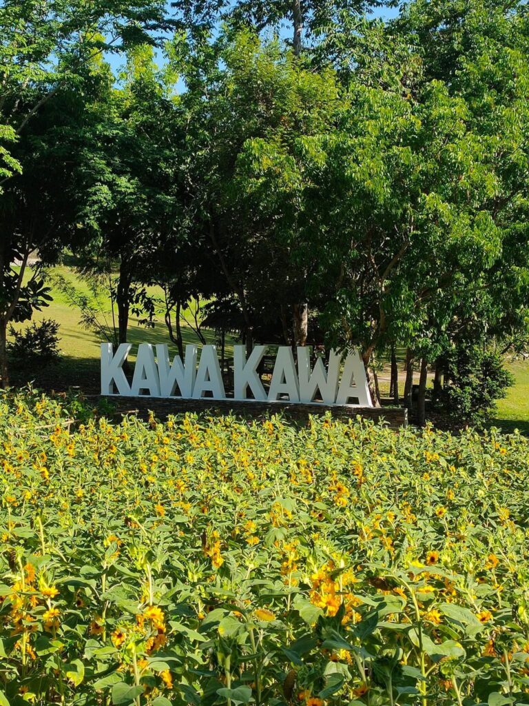 Kawa-Kawa Hill of Albay