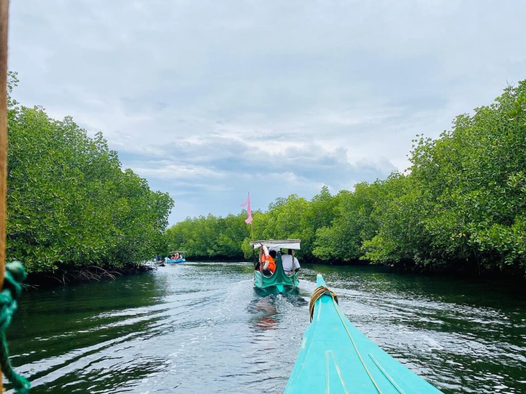 Marang Marang Magrove Forest Cruise