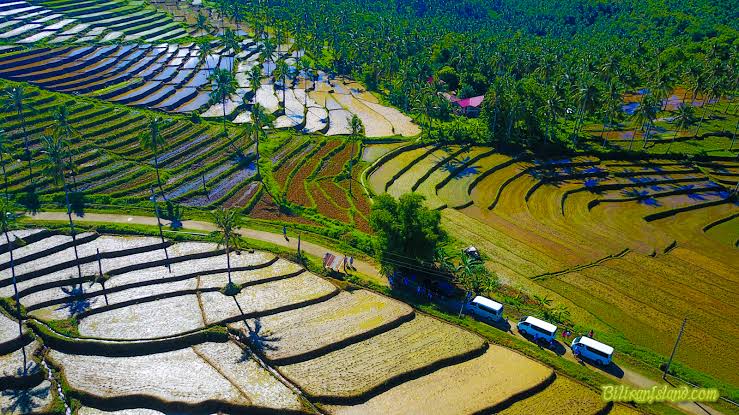 Sampao Rice Terraces of Biliran