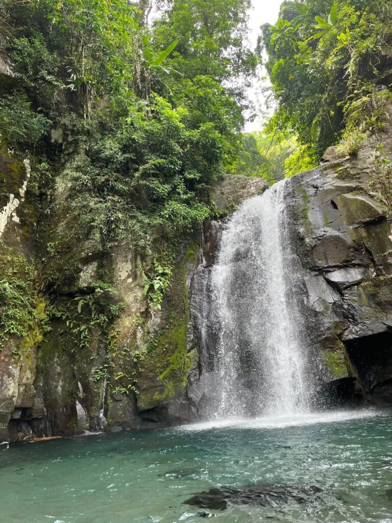 Vera Falls - Albay